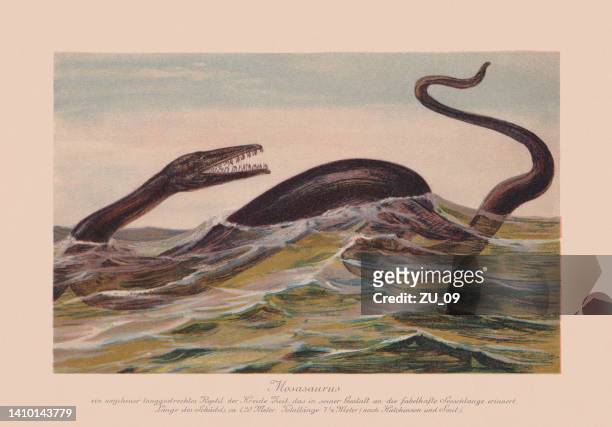 stockillustraties, clipart, cartoons en iconen met mosasaurus, aquatic squamate reptile, late cretaceous, chromolithograph, published in 1900 - in het water levend