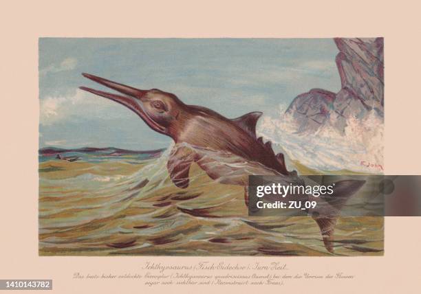 ichthyosaurus, early jurassic, chromolithograph, published in 1900 - marine mammal stock illustrations