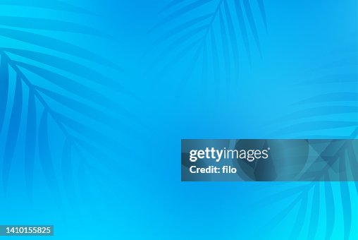 Blauer Sommer Pool Palmen Hintergrund Blauer Sommer Pool Palmen Hintergrund