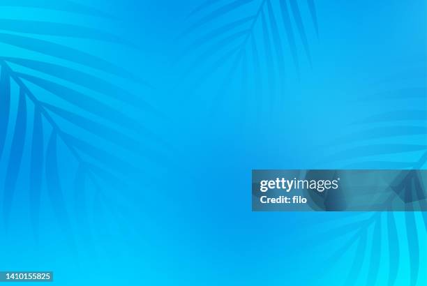 blauer sommer pool palmen hintergrund - summer abstract background stock-grafiken, -clipart, -cartoons und -symbole