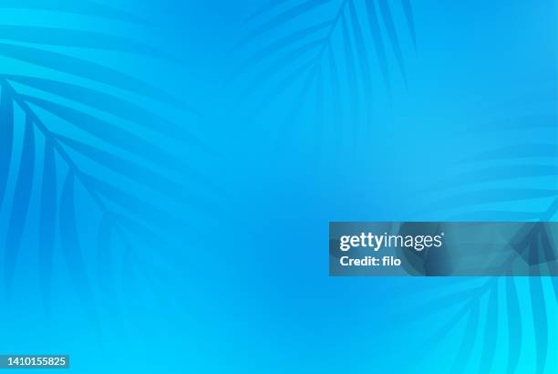 illustrazioni stock, clip art, cartoni animati e icone di tendenza di blue summer pool palms sfondo - fern