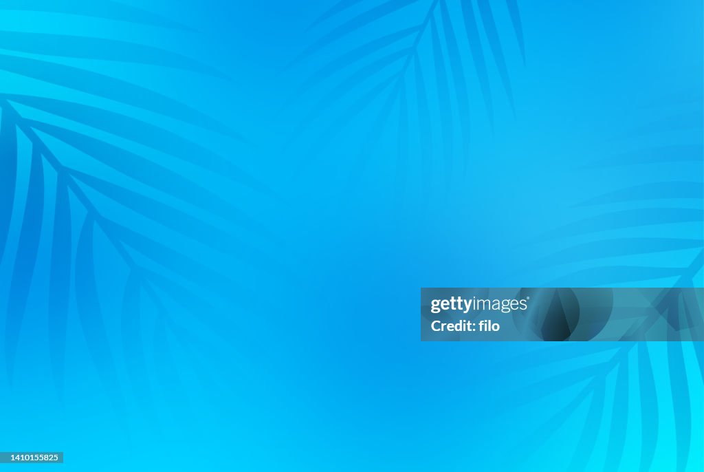Blue Summer Pool Palms Background