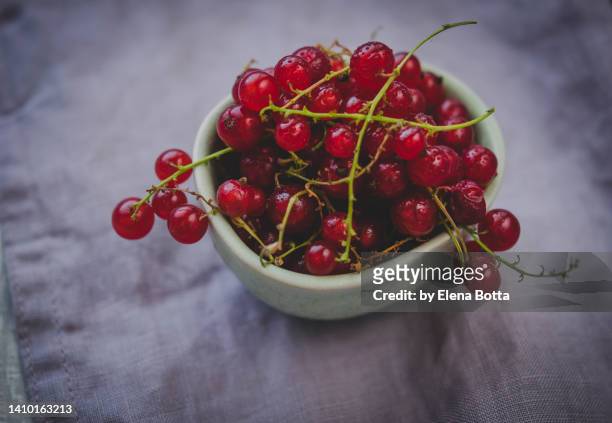 red currant berries - gooseberries stock pictures, royalty-free photos & images