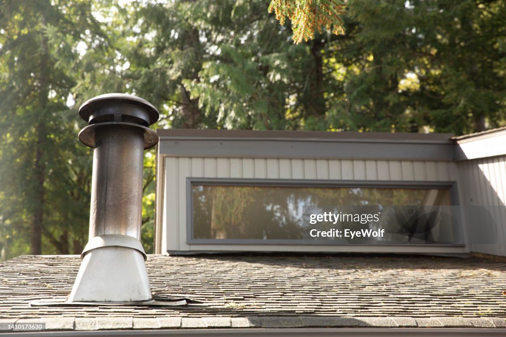 Fire place exhaust from rooftop with evergreen trees in background