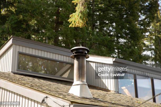 fire place exhaust from rooftop with evergreen trees in background - evergreen forest stock-fotos und bilder