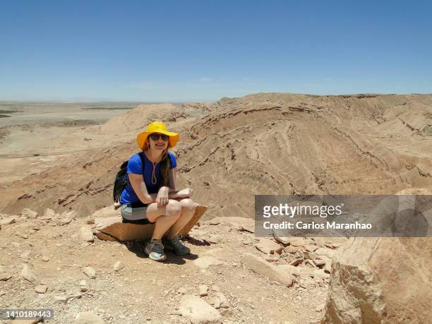 desert landscape of northern chile - norte fotografías e imágenes de stock
