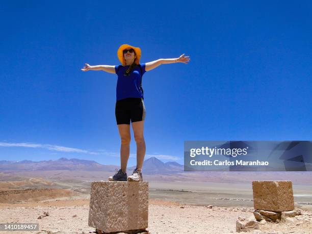 atacama desert and licancabur volcano - san pedro de atacama stock-fotos und bilder
