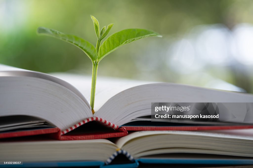 Education Concept,Books and trees.