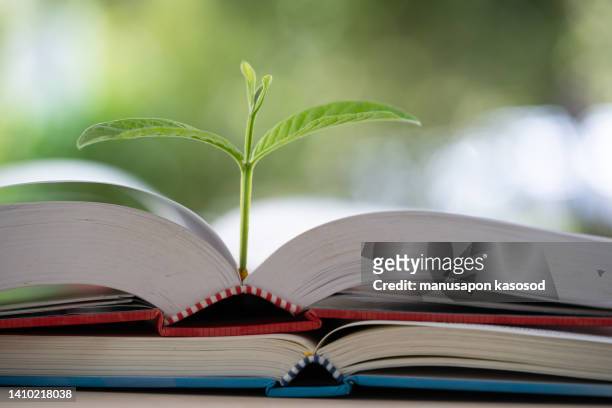 education concept,books and trees. - fantasy icons stock pictures, royalty-free photos & images