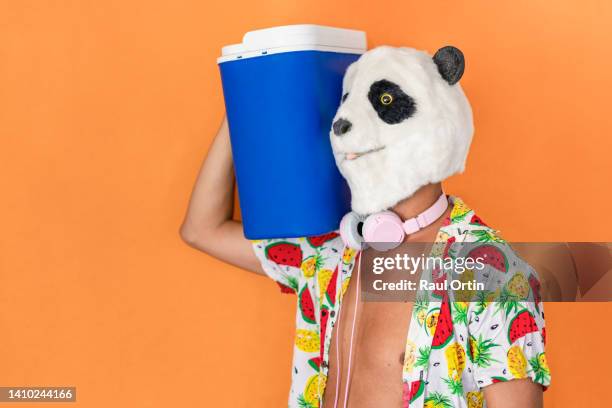 man wearing panda head mask and tropical shirt holding portable fridge cooler - bear suit 個照片及圖片檔