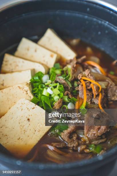 koreanisches gericht dubu-jeongol, tofu hot pot - ground beef stew stock-fotos und bilder