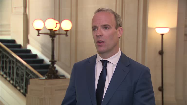 Raab Mp 19 Vaccine Line Drawing Stock Videos, Footage, & 4K Video Clips - Getty ...