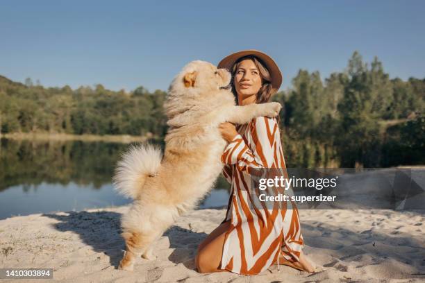 dog jumping on the young woman - white chow chow stock pictures, royalty-free photos & images