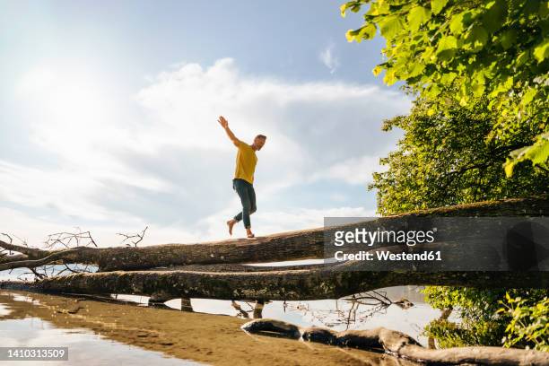 man walking on fallen tree at lake - equilibrio fotografías e imágenes de stock
