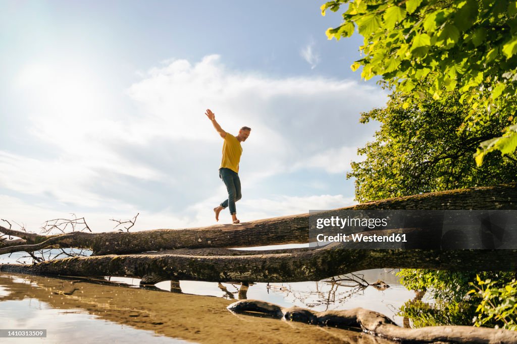 Man walking on fallen tree at lake