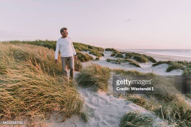 happy man walking amidst plants at sunset - helm riet stockfoto's en -beelden