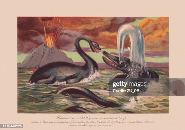 plesiosaurus und ichthyosaurus communis, chromolithographie, erschienen 1900 - kreidezeit stock-grafiken, -clipart, -cartoons und -symbole