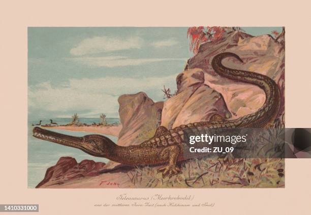 teleosaurus, middle jurassic, chromolithograph, published in 1900 - crocodile 幅插畫檔、美工圖案、卡通及圖標