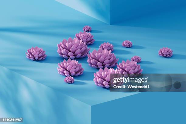 studio shot of pink colored succulent plants lying on top of blue ledge - at the edge of stock illustrations