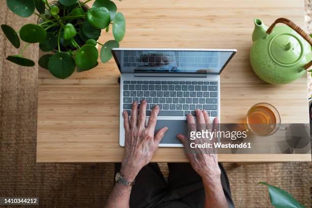 hands of woman using laptop at home - old emirati woman stock-fotos und bilder