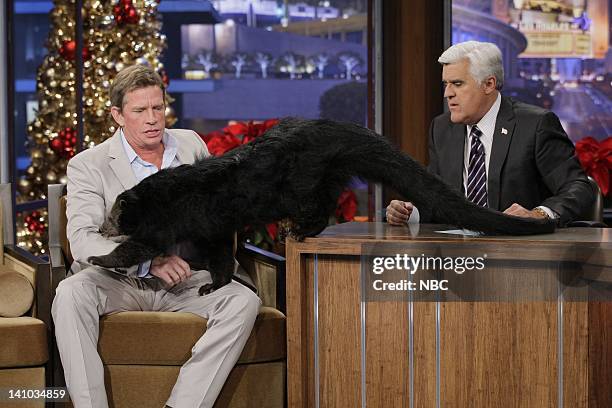 Episode 4171 -- Pictured: Actor Thomas Haden Church with Ninja the Binturong during an interview with host Jay Leno on December 21, 2011 -- Photo by:...
