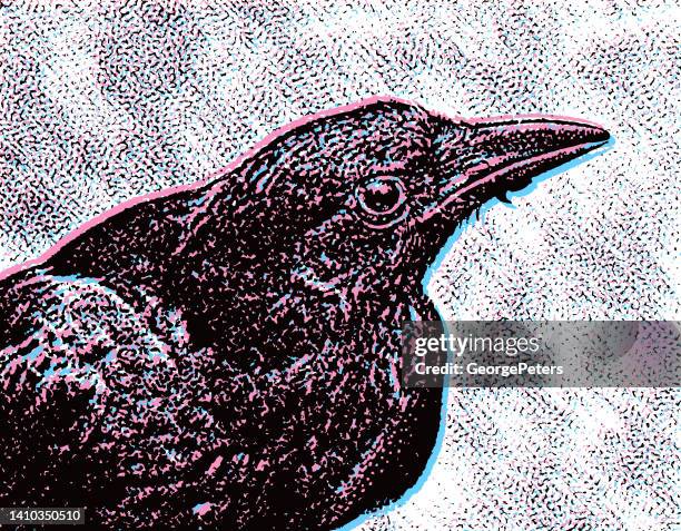 close up of crow head with glitch effect - crows pattern stock illustrations
