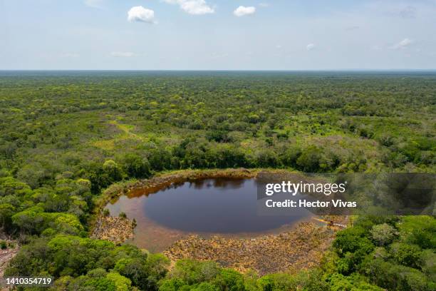 Aerial view of an open-air cenote located lees than two kilometers away from industrial pig and poultry farms on July 15, 2022 in Muna, Mexico. The...