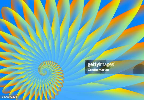 nautilus, beautiful pattern - golden ratio stock pictures, royalty-free photos & images