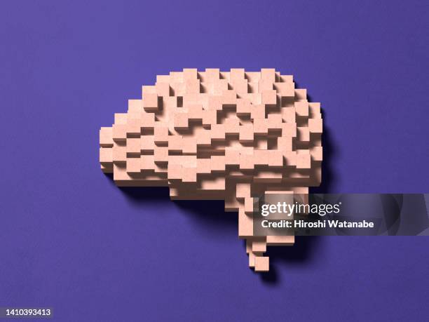 Brain Textured Paper 43 Brain Papercraft Stock Photos, High-Res Pictures, and Images - Getty ...