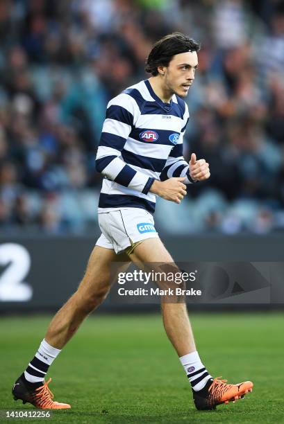 Brad Close of the Cats celebrates a goal during the round 19 AFL match between the Port Adelaide Power and the Geelong Cats at Adelaide Oval on July...