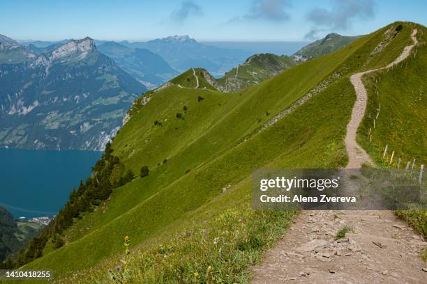 road in the sky - alena zvereva stock-fotos und bilder