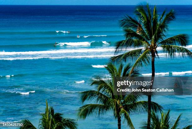 usa, hawaii, surfing in waikiki - waikiki beach stock-fotos und bilder