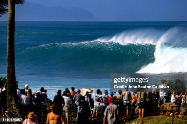 usa, hawaii, ocean wave at waimea bay - waimea bay stock pictures, royalty-free photos & images