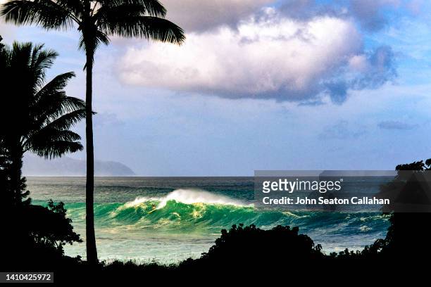 usa, hawaii, surfing at waimea bay - haleiwa fotografías e imágenes de stock