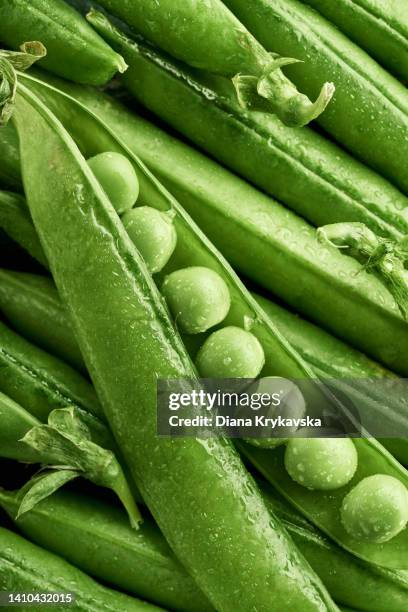 peas and pea pods with water droplets - エンドウマメの鞘 ストックフォトと画像