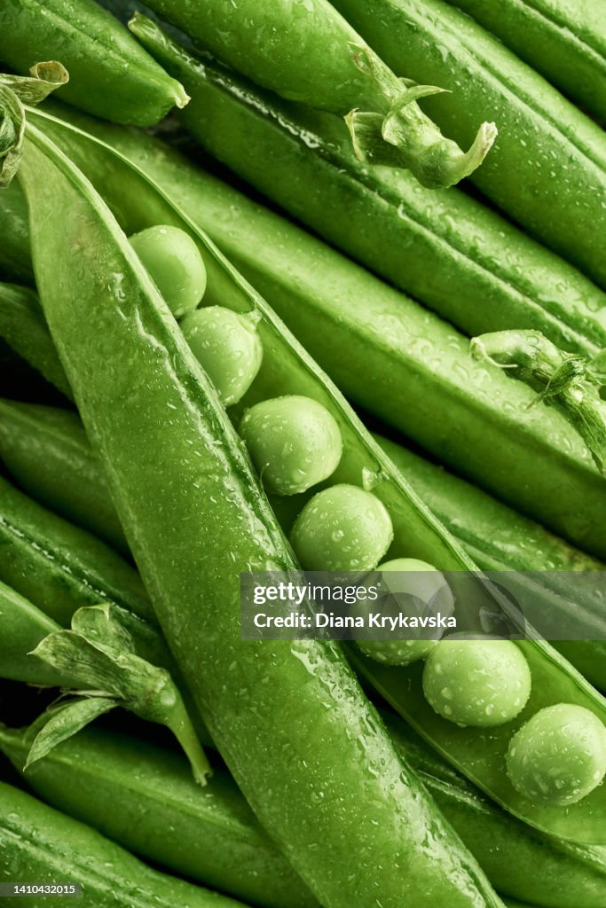 Peas and pea pods with water droplets