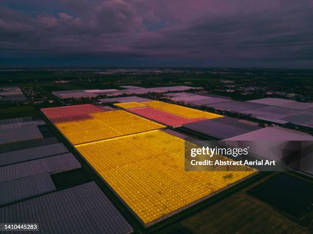 drone shot showing illuminated greenhouses, netherlands - sustainable development goals stock pictures, royalty-free photos & images