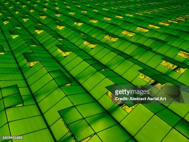 majestic high angle drone image looking across an illuminated greenhouse roof, netherlands - south holland ストックフォトと画像