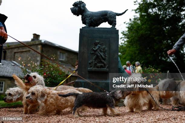 Dandie Dinmont Terrier owners and their dogs gather at the Old Ginger statue at The Haining kennel yard on July 23, 2022 in Selkirk, Scotland. Dandie...