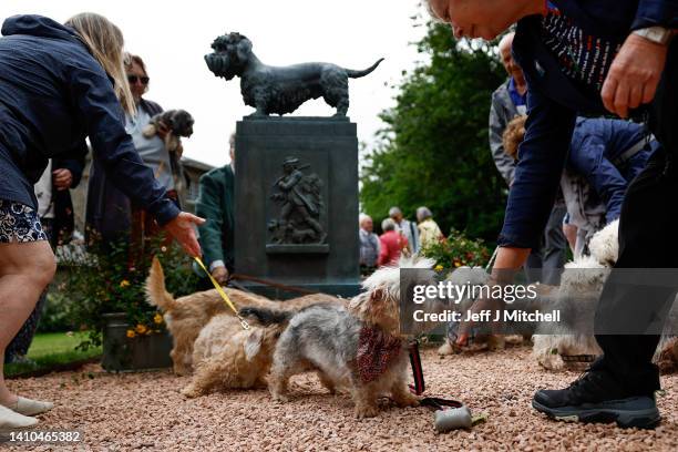 Dandie Dinmont Terrier owners and their dogs gather at the Old Ginger statue at The Haining kennel yard on July 23, 2022 in Selkirk, Scotland. Dandie...