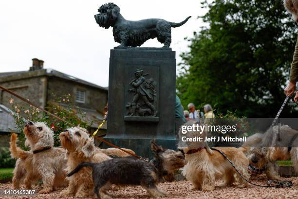 Dandie Dinmont Terrier owners and their dogs gather at the Old Ginger statue at The Haining kennel yard on July 23, 2022 in Selkirk, Scotland. Dandie...