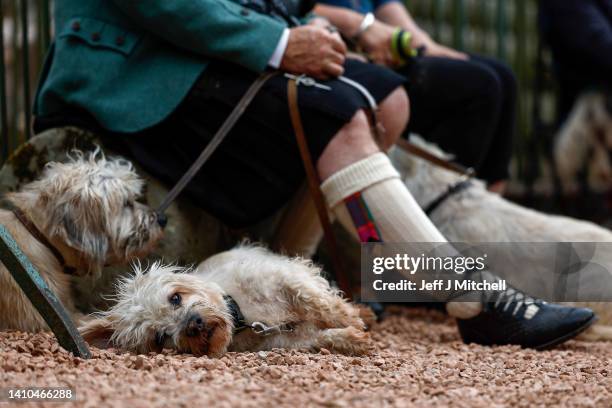 Dandie Dinmont owners gather at the Old Ginger statue at The Haining kennel yard on July 23, 2022 in Selkirk, Scotland.Dandie Dinmont Terriers are...