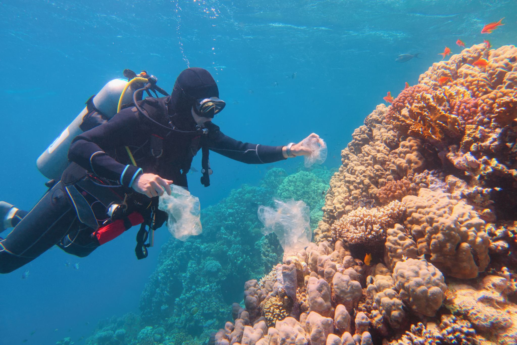 Man scuba diver cleaning plastic from the tropical coral reef. World ocean contaminated by plastic. Man scuba diver cleaning plastic from the tropical coral reef. World ocean contaminated by plastic.