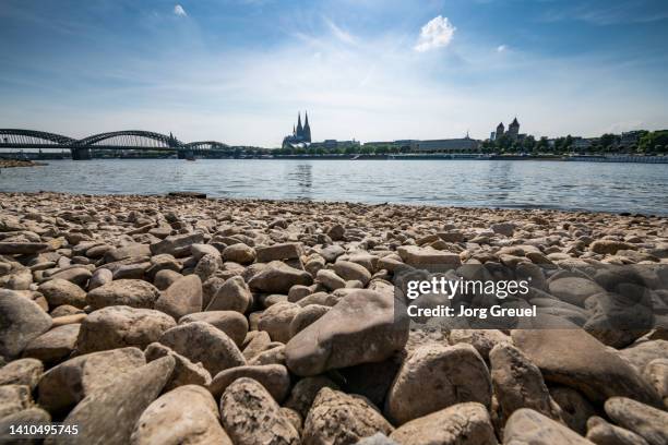 rhine riverbank at low water level - river rhine stock pictures, royalty-free photos & images