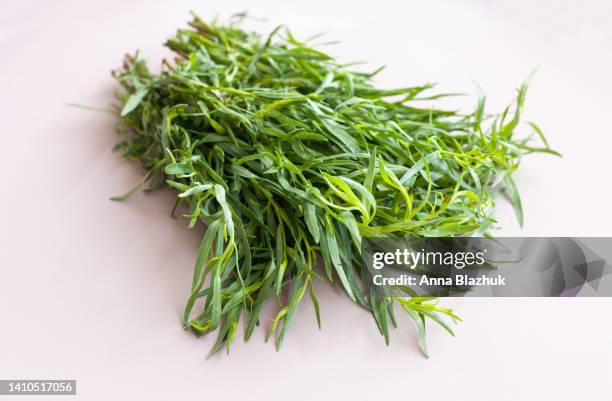 green fresh herb tarragon on table - dragon stockfoto's en -beelden