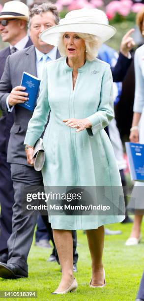 Camilla, Duchess of Cornwall attends the QIPCO King George Diamond Day, where she presented the prizes to the winners of The King George VI and Queen...