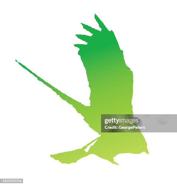 bird flying - osprey stock illustrations