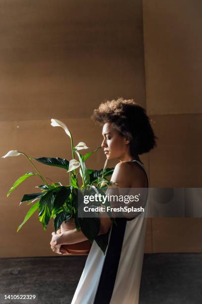 a serious woman holding a pot of beautiful flowers with big leaves - peace lily 個照片及圖片檔