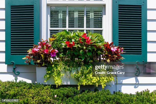 flowers adorn window box - flower boxes stock pictures, royalty-free photos & images