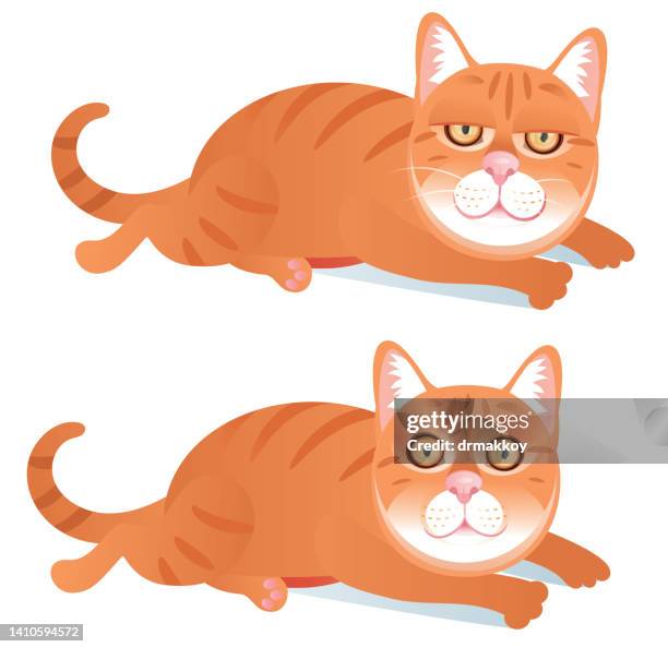 bildbanksillustrationer, clip art samt tecknat material och ikoner med tabby cat lying down - spräcklig katt
